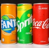 Kutu Kola