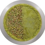 Yarı Billuriye Yarı Fıstıkzade